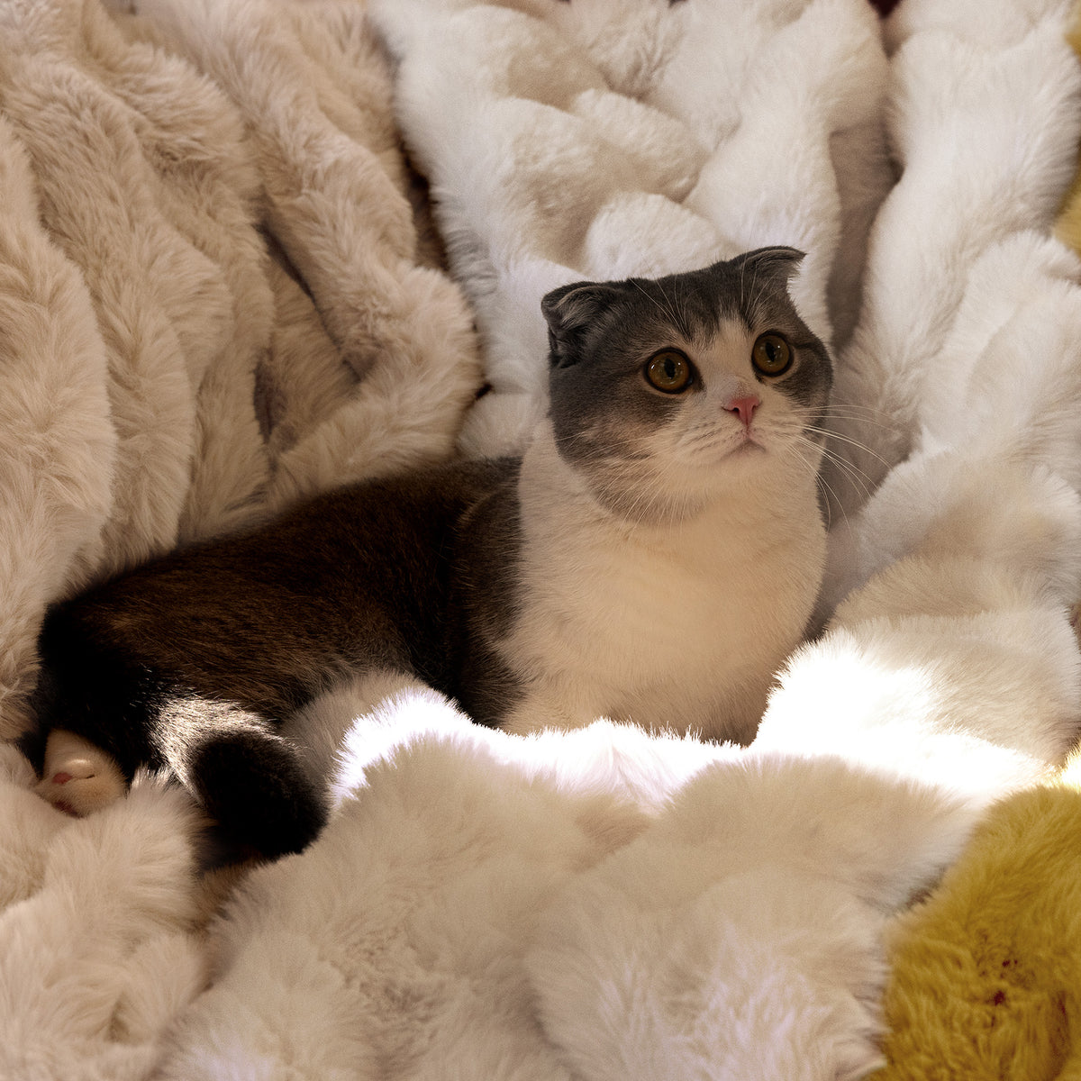 blunique - Premium Faux Fur Bubble Throw & Blanket