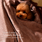 Chenille Throw Blanket for Couch, Cozy Soft Blanket Lightweight Decorative Throw for Living Room Sofa Chair - Blunique