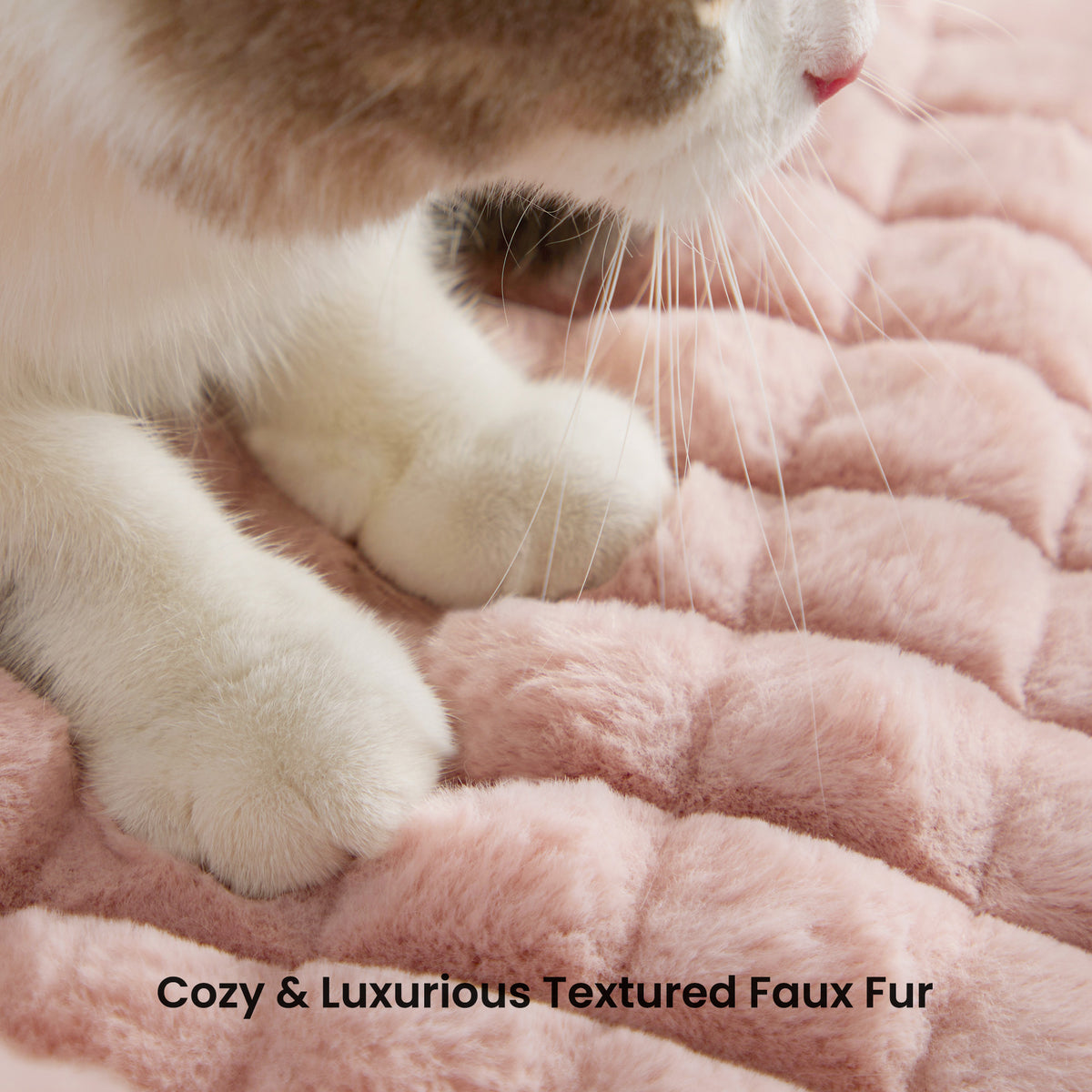 blunique - Cute Cat Couch Bed Supportive & Fluffy Pet Sofa in 3D Diamond Pattern
