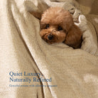 Chenille Throw Blanket for Couch, Cozy Soft Blanket Lightweight Decorative Throw for Living Room Sofa Chair - Blunique