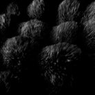 blunique - Faux Fur Bubble Blanket BACKUP - Blunique