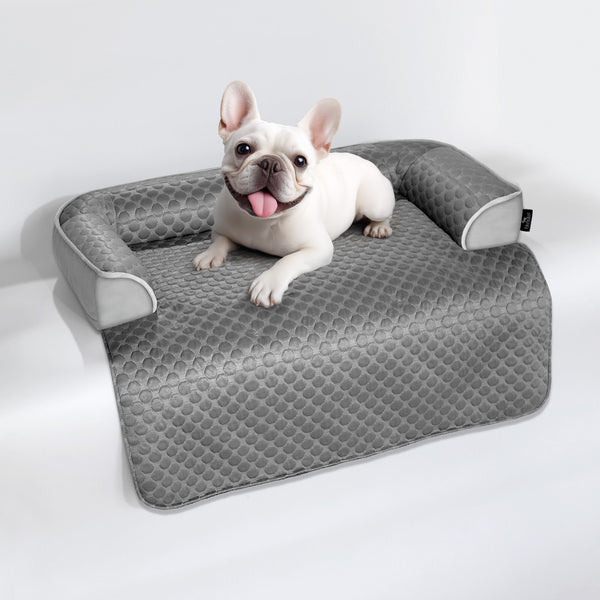 Cooling Dog Bed