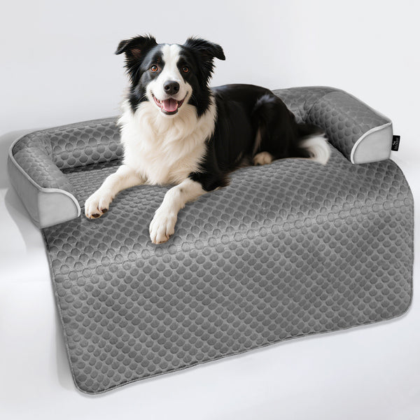Cooling Dog Bed