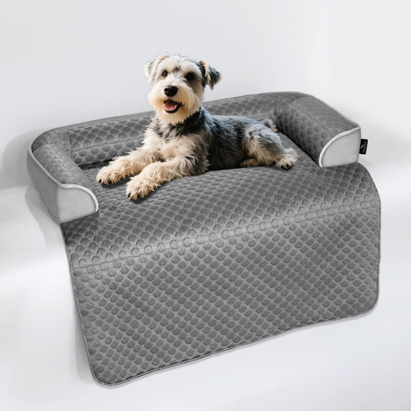 Cooling Dog Bed